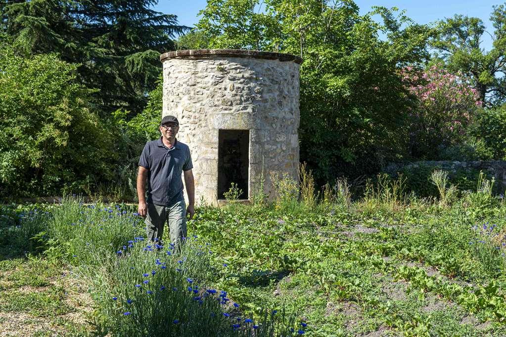 Chateau De Massillan Uchaux Dış mekan fotoğraf